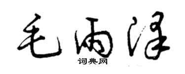 曾庆福毛雨泽草书个性签名怎么写