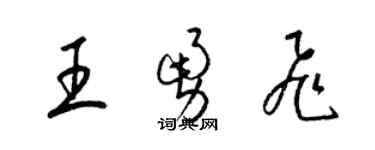 梁锦英王勇飞草书个性签名怎么写