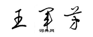 梁锦英王军芳草书个性签名怎么写