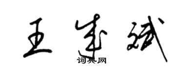梁锦英王成斌草书个性签名怎么写