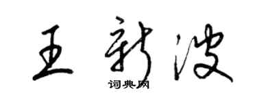 梁锦英王新波草书个性签名怎么写