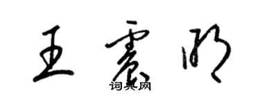 梁锦英王震明草书个性签名怎么写