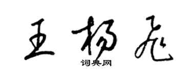 梁锦英王杨飞草书个性签名怎么写