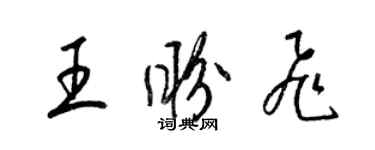 梁锦英王盼飞草书个性签名怎么写