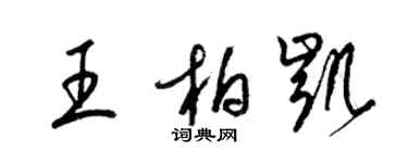 梁锦英王柏凯草书个性签名怎么写