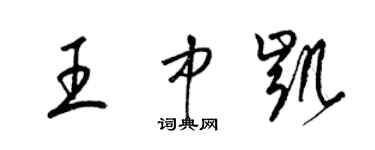 梁锦英王中凯草书个性签名怎么写
