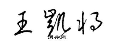 梁锦英王凯将草书个性签名怎么写