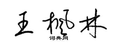 梁锦英王枫林草书个性签名怎么写