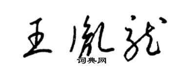 梁锦英王胤龙草书个性签名怎么写