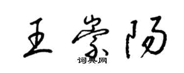 梁锦英王崇阳草书个性签名怎么写