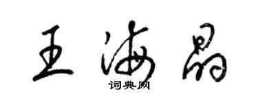 梁锦英王海晶草书个性签名怎么写