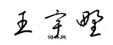 梁锦英王宇野草书个性签名怎么写
