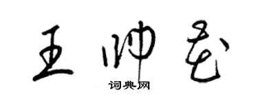 梁锦英王帅花草书个性签名怎么写
