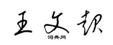 梁锦英王文起草书个性签名怎么写