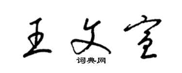 梁锦英王文宣草书个性签名怎么写
