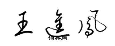 梁锦英王进凤草书个性签名怎么写