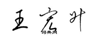 梁锦英王宏升草书个性签名怎么写
