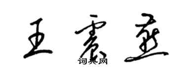 梁锦英王震燕草书个性签名怎么写
