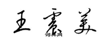梁锦英王震美草书个性签名怎么写