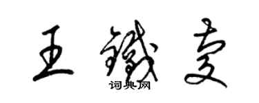 梁锦英王铁庆草书个性签名怎么写