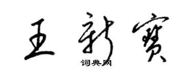 梁锦英王新宝草书个性签名怎么写