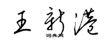 梁锦英王新港草书个性签名怎么写