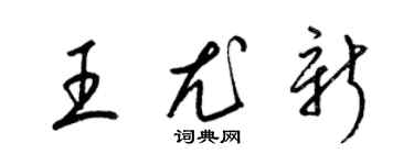 梁锦英王尤新草书个性签名怎么写