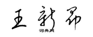 梁锦英王新昂草书个性签名怎么写