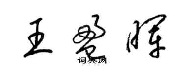 梁锦英王盈晖草书个性签名怎么写