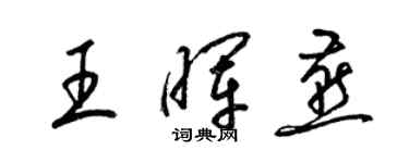 梁锦英王晖燕草书个性签名怎么写