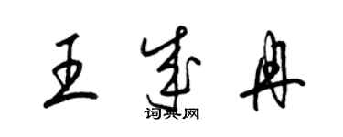 梁锦英王成冉草书个性签名怎么写