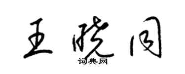 梁锦英王晓同草书个性签名怎么写
