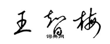 梁锦英王智梅草书个性签名怎么写
