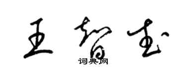 梁锦英王智武草书个性签名怎么写