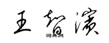 梁锦英王智滨草书个性签名怎么写