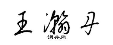 梁锦英王瀚丹草书个性签名怎么写