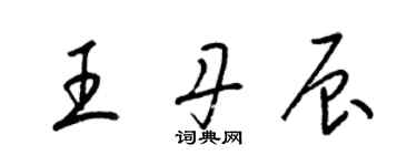 梁锦英王丹辰草书个性签名怎么写