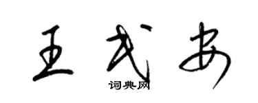 梁锦英王民安草书个性签名怎么写