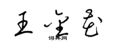 梁锦英王金花草书个性签名怎么写