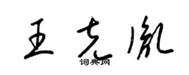 梁锦英王克胤草书个性签名怎么写