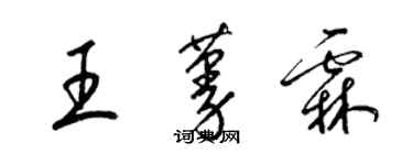 梁锦英王蔓霖草书个性签名怎么写