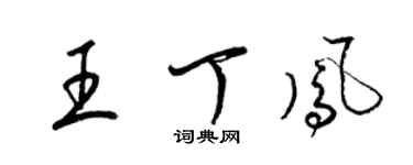 梁锦英王丁凤草书个性签名怎么写