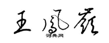 梁锦英王凤岭草书个性签名怎么写