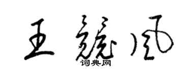 梁锦英王竞风草书个性签名怎么写