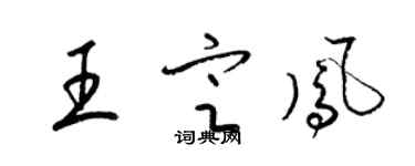 梁锦英王定凤草书个性签名怎么写