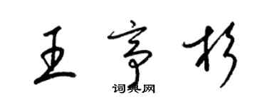 梁锦英王亭杉草书个性签名怎么写