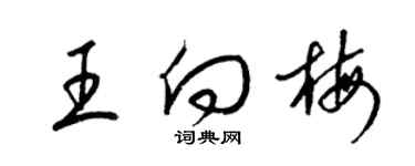 梁锦英王向梅草书个性签名怎么写
