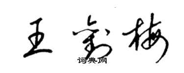 梁锦英王刘梅草书个性签名怎么写