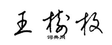 梁锦英王树枚草书个性签名怎么写