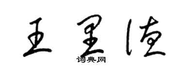 梁锦英王里德草书个性签名怎么写